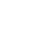 SAIDSA