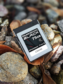 DELKIN CFX TYPE B BLACK