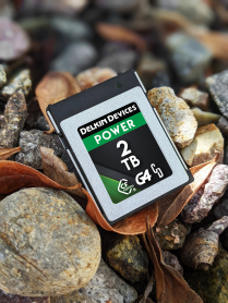 DELKIN CFX TYPE B G4 POWER