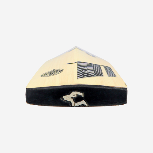 Prism 6.5 Force Cricket Bat