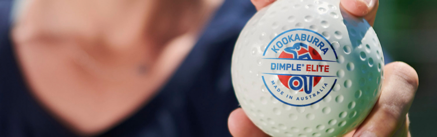 The Number One Ball in Hockey