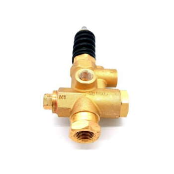 SAFETY VALVE S 250 NEW