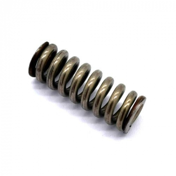 SPRING S/S TS 9.1 X 25MM