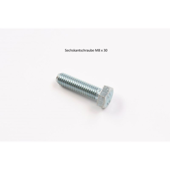 HEXAGON BOL M8X30
