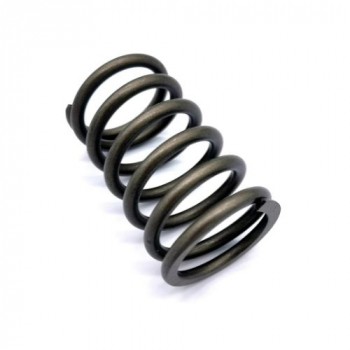 PISTON SPRING