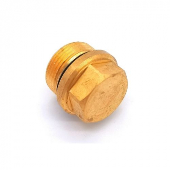 VALVE CAP (3250)