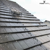Mosmatic Roof Cleaner Application cleaning dirt