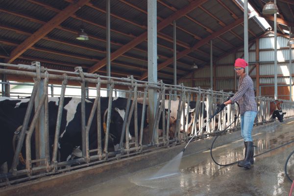 Kranzle cattle and cow farm cleaning stables