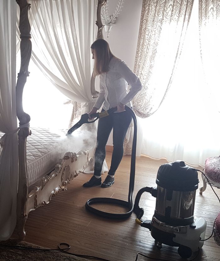 Tecnovap steam cleaner for killing bed bugs effectively in hotels
