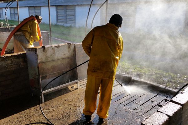 Kranzle Piggery Farm cleaning 