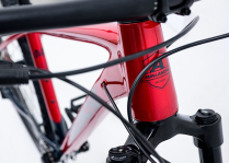 REFLEX 29ER TEAM
