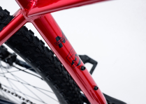 REFLEX 29ER TEAM