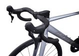 CONTEND SL 0 2026