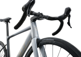 CONTEND SL 0 2026