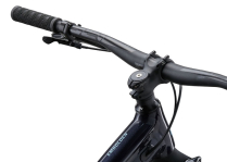 EMBOLDEN 29ER 2 2024