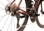 ENVILIV ADV 1 2025