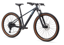 TEMPT 29ER 1 2025