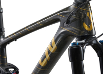 PIQUE ADV 29ER 1 2024