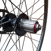 AVALANCHE WHEEL REAR 29" 12 SPD