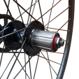 AVALANCHE WHEEL REAR 29" 12 SPD